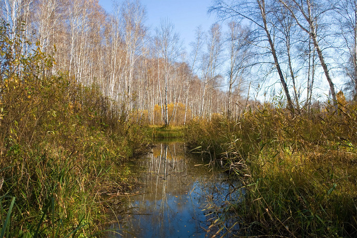 Осенние зарисовки