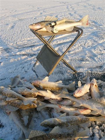 сегодня на море