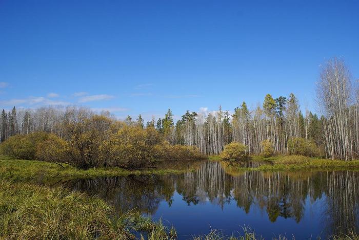 Зеркало осени