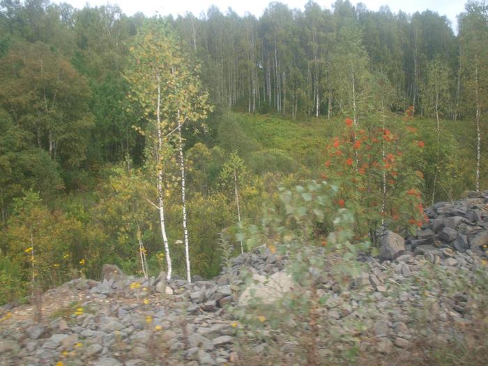 За хариусом 2009