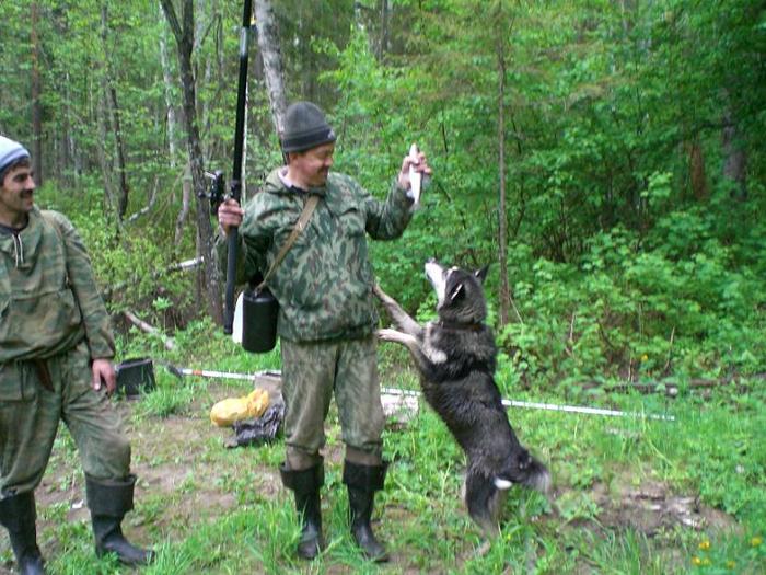 А этот, мне?..