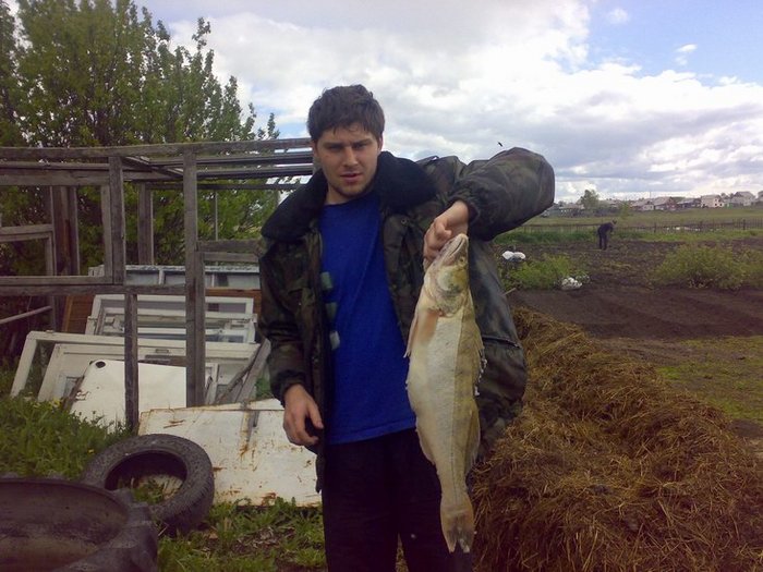 Чановский судачок