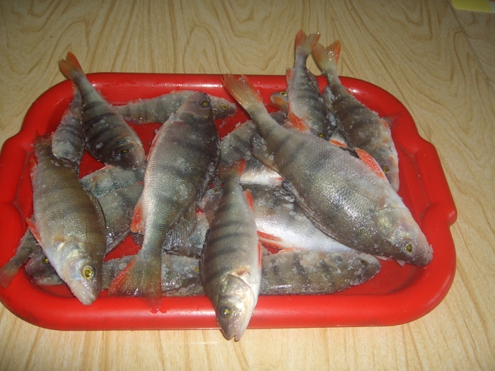 Сегодня. БЗ. Утро.