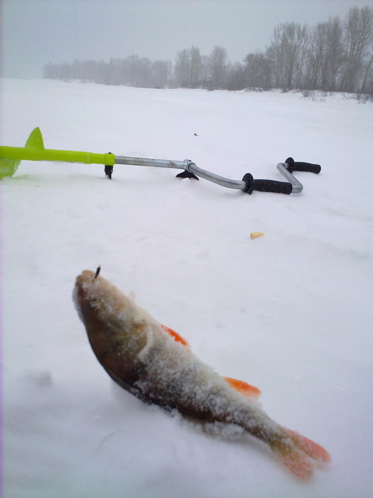 Экономия, однако - червяков покупать не надо.. :-)