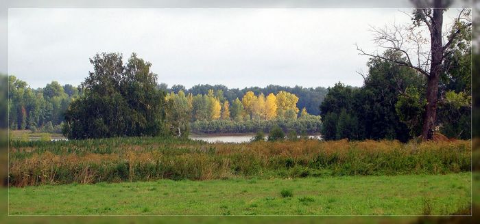 р.Обь,в р-не с.Обское.Краски осени.