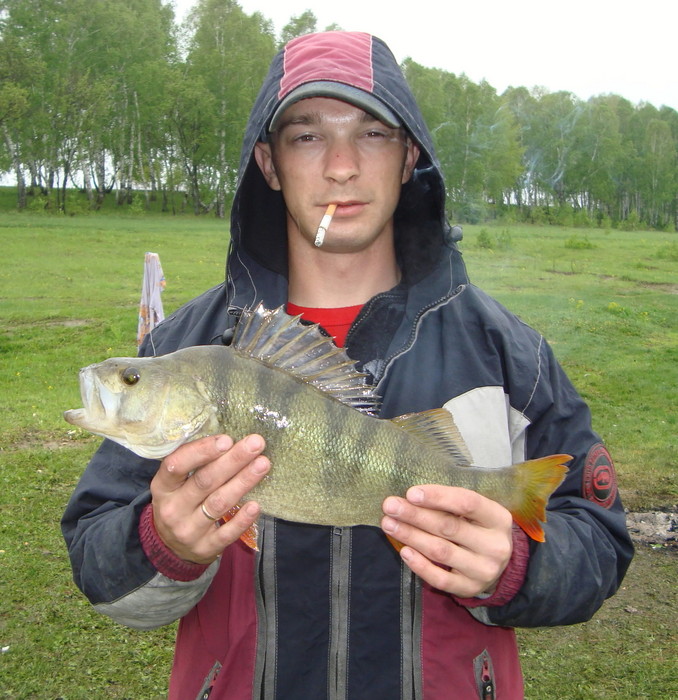 Без коментарий.