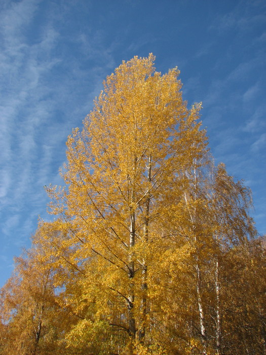 Осень