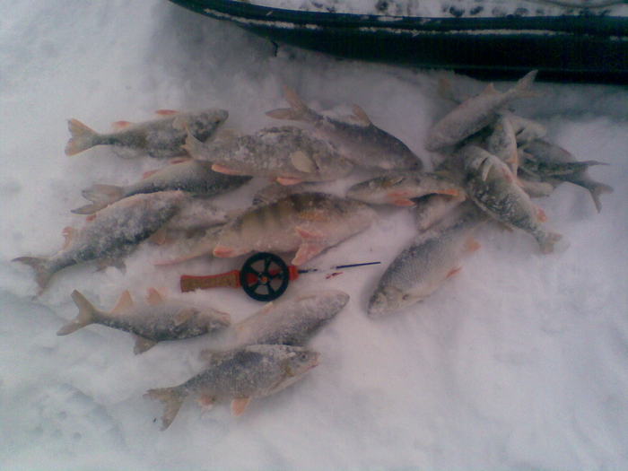14.02.10 на малых реках
