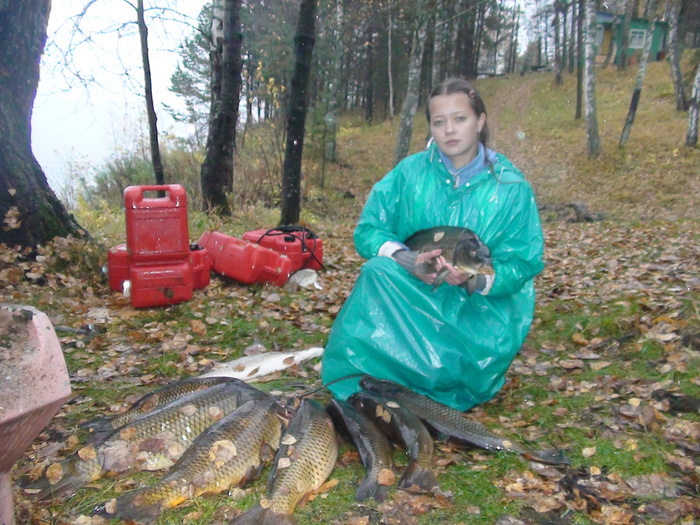 сазаны