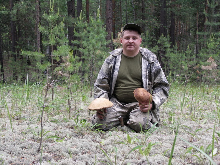 по грибы