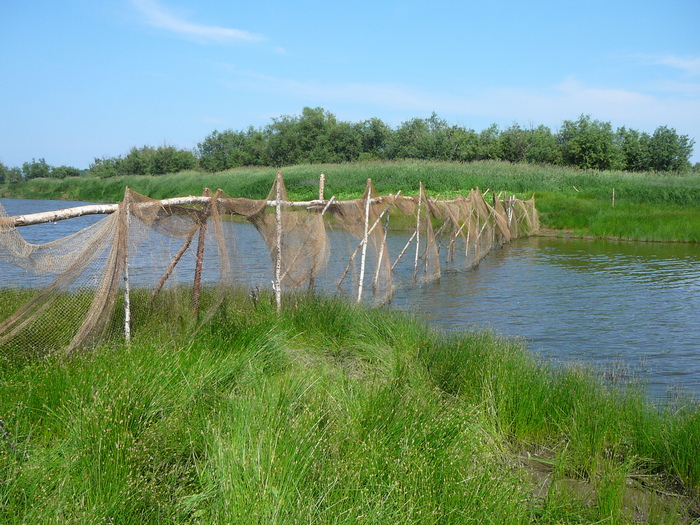 без коментариев