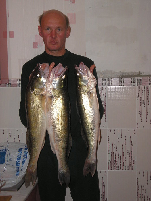 2 кг, 2,5 кг, 3кг