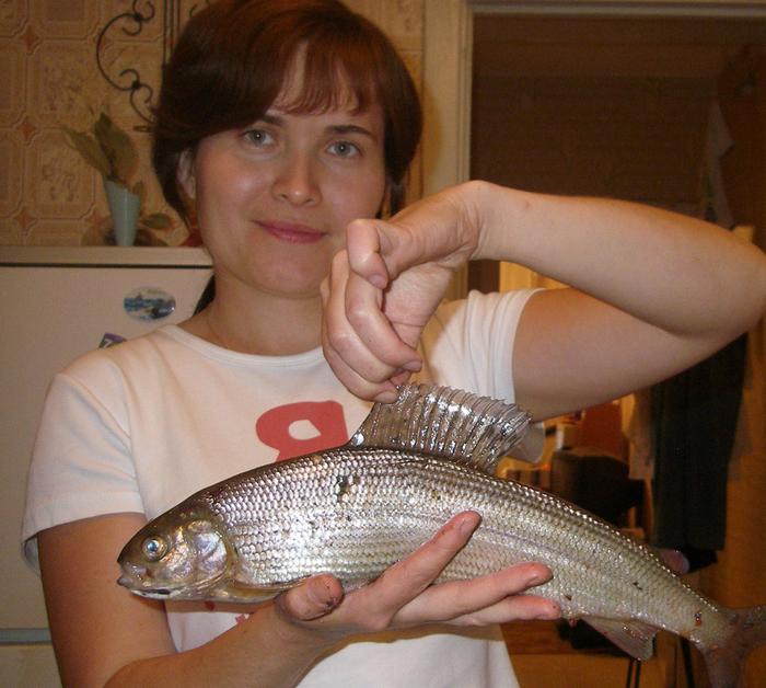 хариус 850гр.