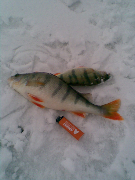 Рыба и курение. Тайвань весна 2009