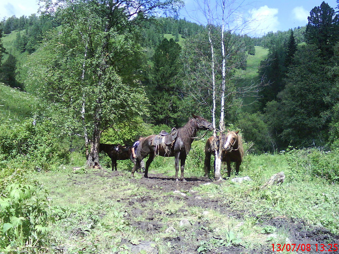 Конные прогулки.
