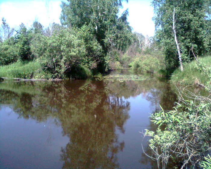 р.Бурла, Змеинный остров.