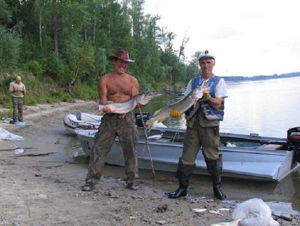 Обские щуки 2009.