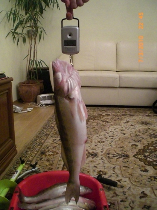 7.03.10 по 45-му