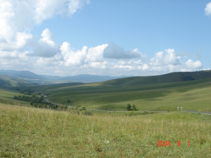 предгорье Алтая