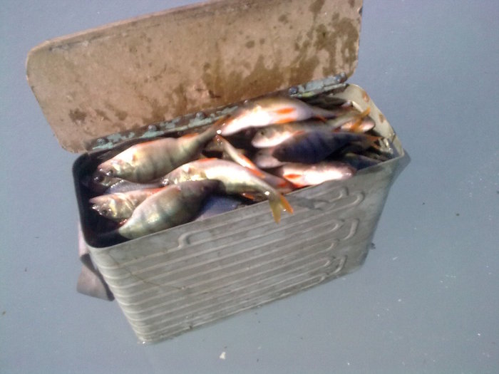 Полный.