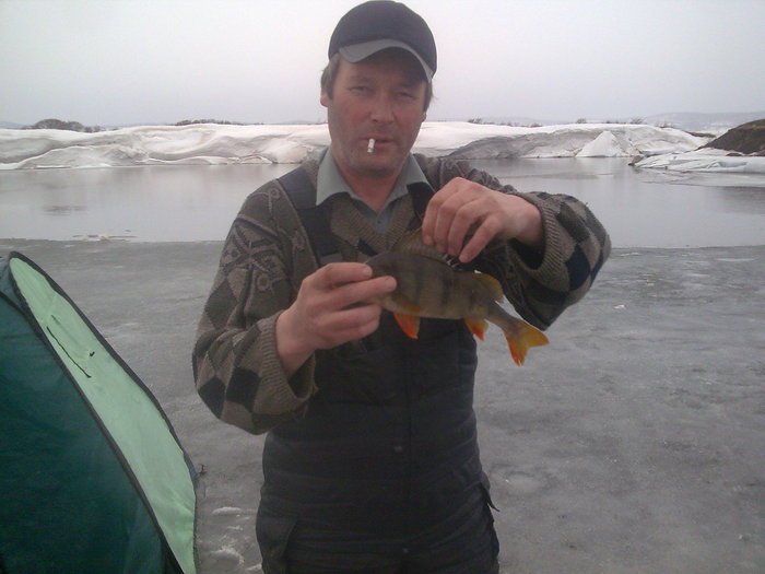  Труба 19.04.2010г