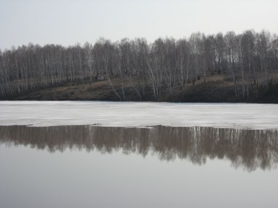 последний лёд на пруду Шипунихи