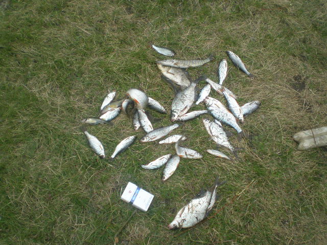 21.05.2010. Чаус-Уень
