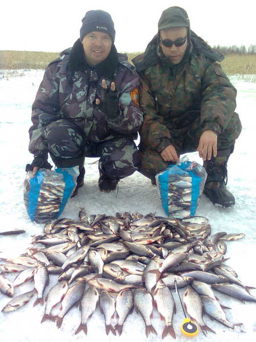 Не плохой улов!