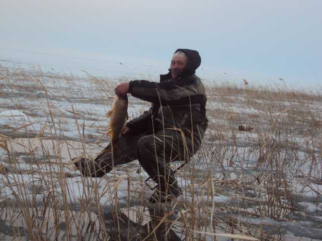 Сазан 2.5кг