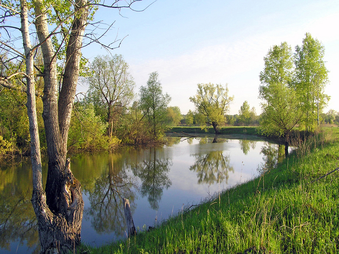 Уень.