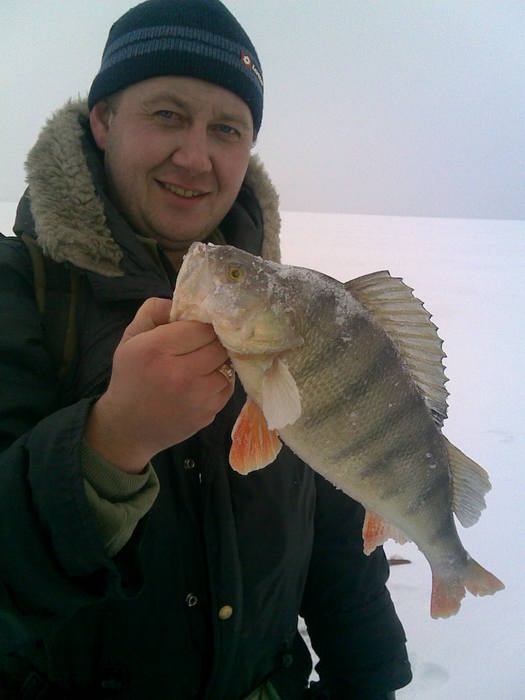 bass с ОВХ
