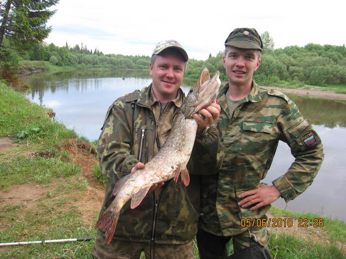 камская крокодила