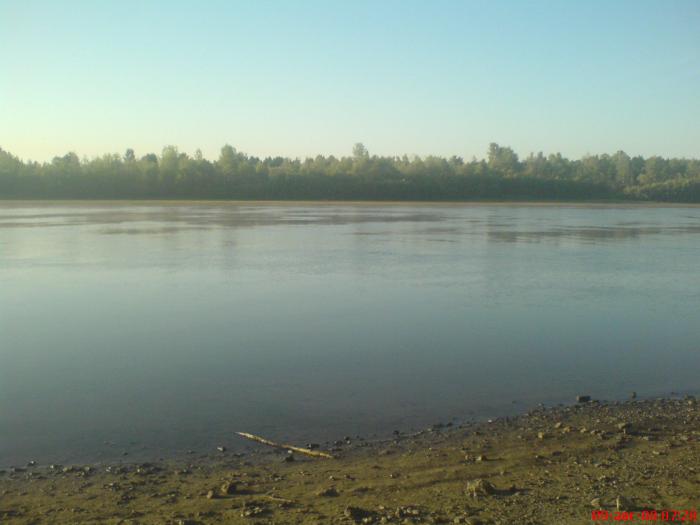 Утро