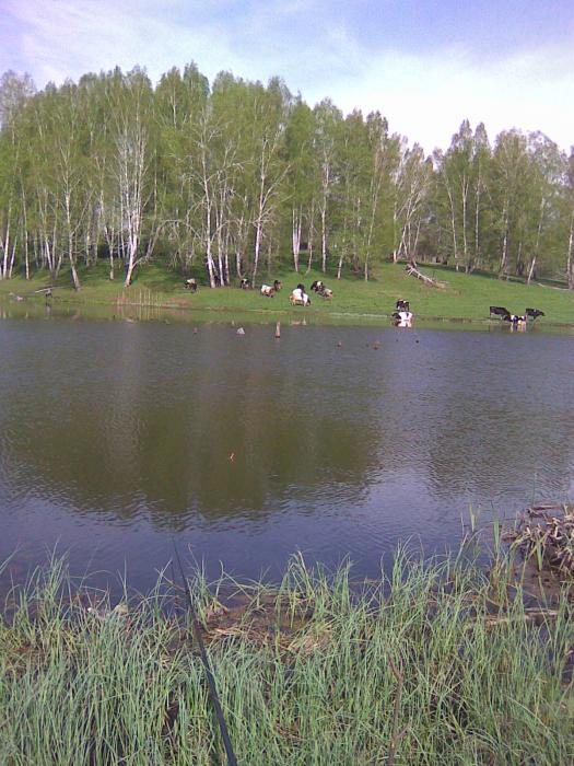 Пришли.....