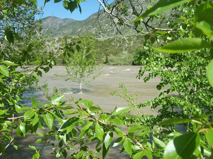К воде не подойти