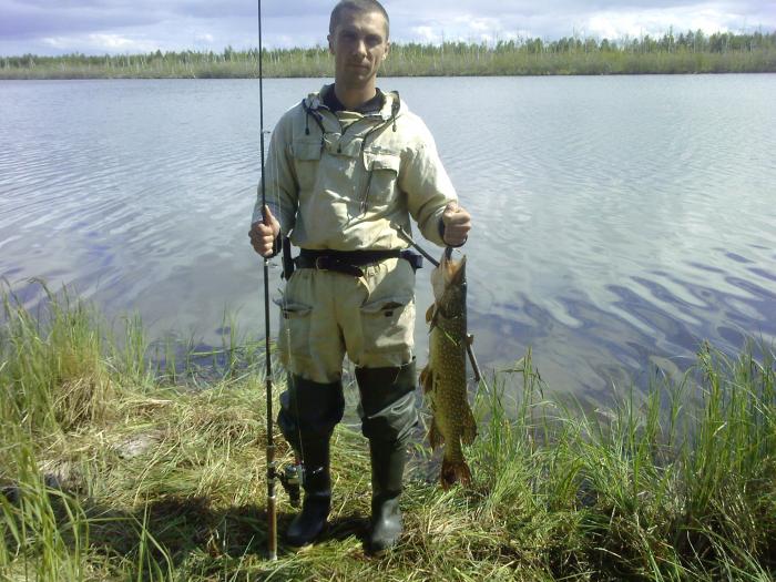27 июня. Скромненькое открытие спиннингового сезона 2010.