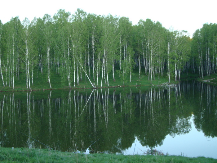 Зеркало