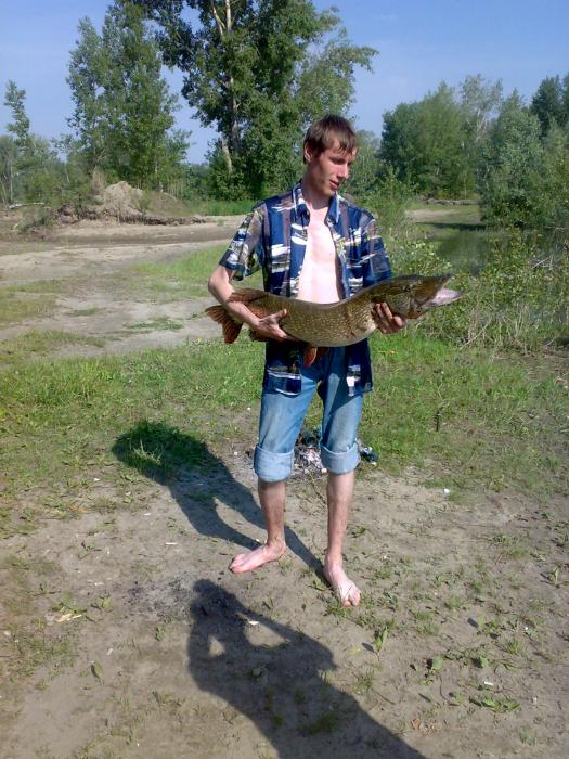 около метромомоста. 20.06.10. вес 9.1кг, длина 106см.
