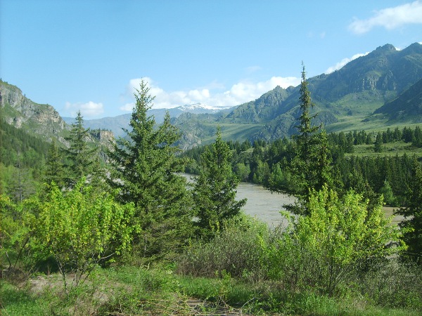 Катунь