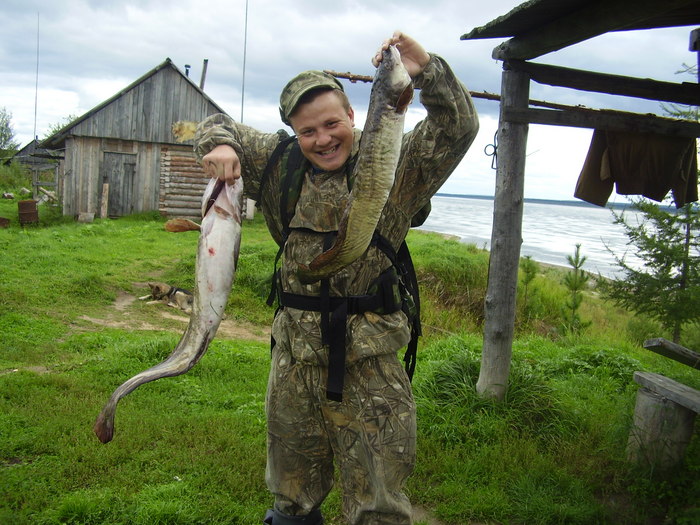 налимы