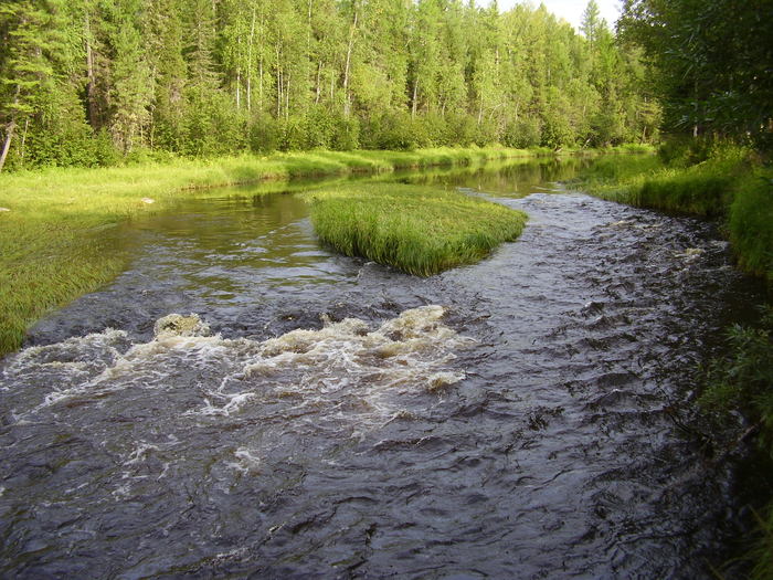 место ловли хариуза