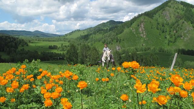 Горный Алтай.Местечко Верх-Аюла. Где спрятался небольшой  благоустроенный домик...для тех, кто оценит тишину и уединенность