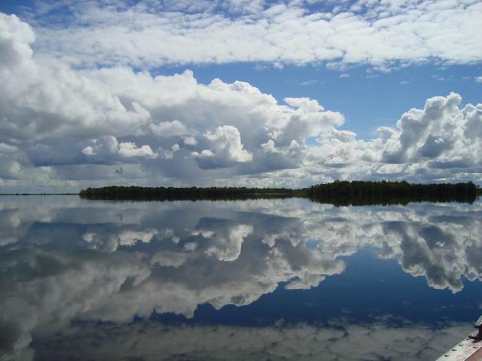Без комментариев