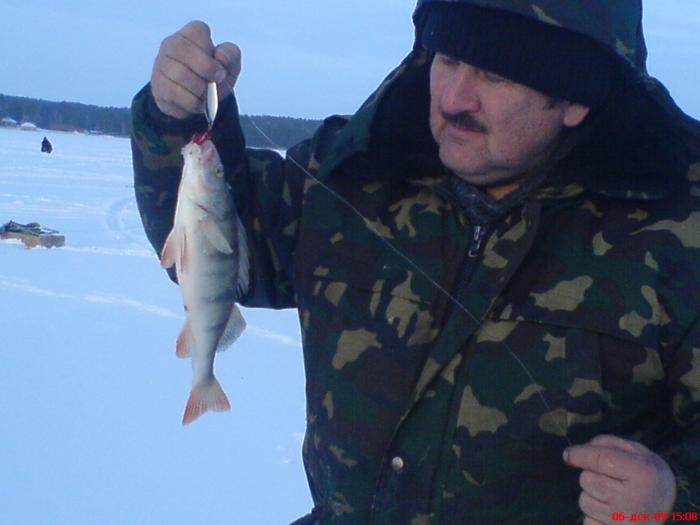 Спирино мороз за 30