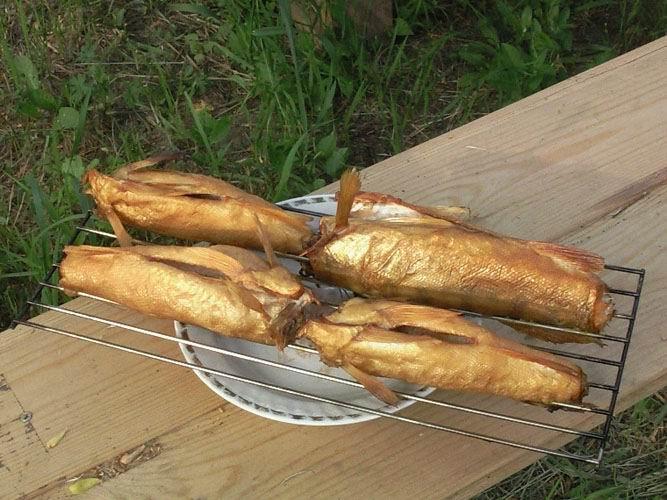 Судачишки, копчёные на яблоньке