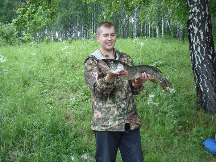 Озёрная щука(Мошково)