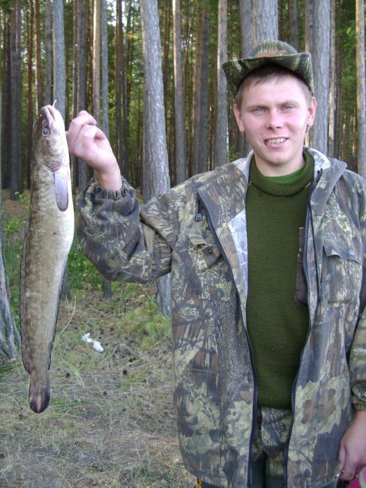 Пойман на живца