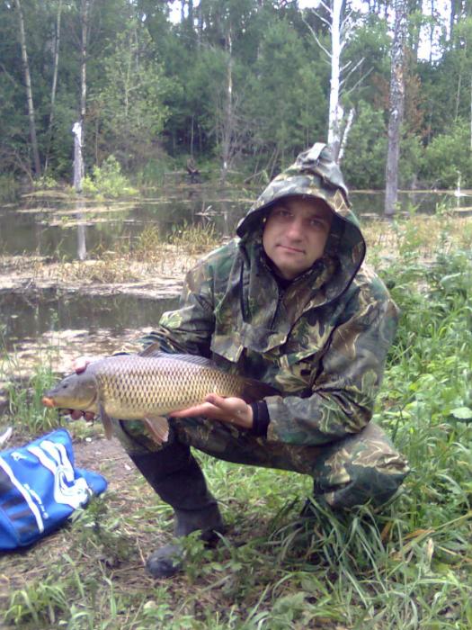 Окрестности Новосибирска 08.07.2010,карп вес 2 кг 