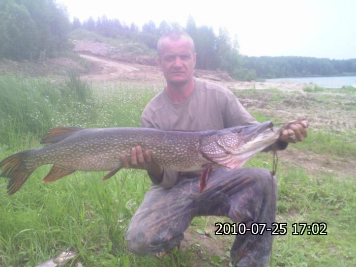 васюган
13кг