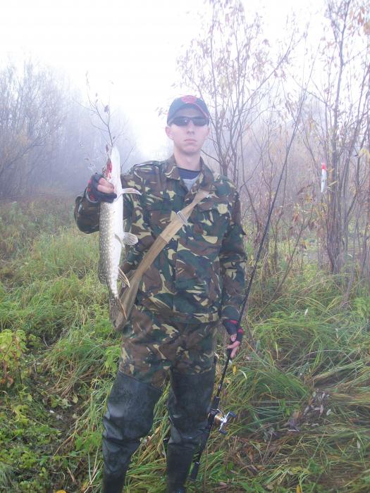 Обь, осень 2009